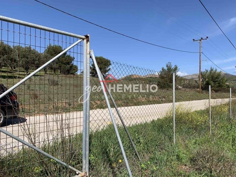 (Προς Πώληση) Αξιοποιήσιμη Γη Οικόπεδο || Ανατολική Αττική/Κερατέα - 10.000 τ.μ, 160.000€ 
